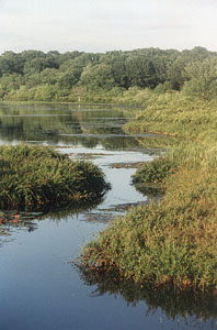 hazardpond