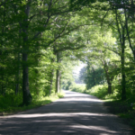 Photo of Beaver River Road in Richmond, RI