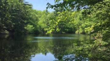 Photo of Black Pond in Charlestown