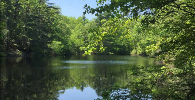 Photo of Black Pond in Charlestown