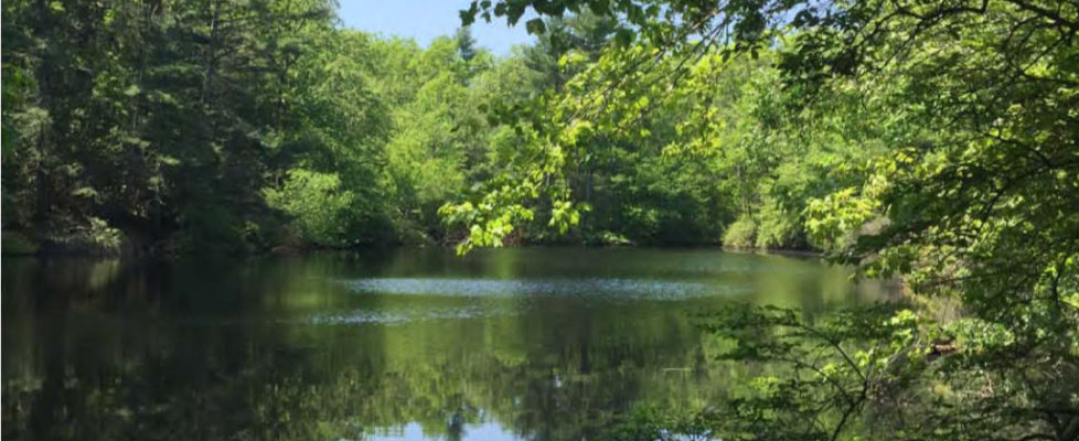 Photo of Black Pond in Charlestown