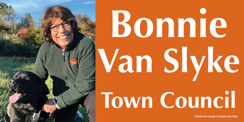 Image of Bonnie's 2025 campaign sign