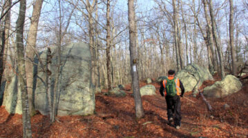 Photo of a January hike in the Carter Preserve