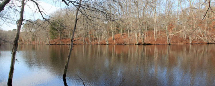 Photo of Ice House Pond in the Carter Preserve