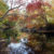 Photo of Carter Preserve-Pawcatuck River