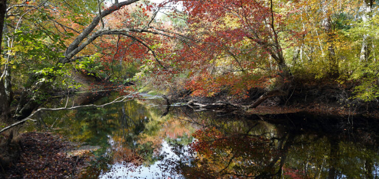 Photo of Carter Preserve-Pawcatuck River