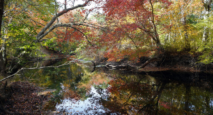 Photo of Carter Preserve-Pawcatuck River