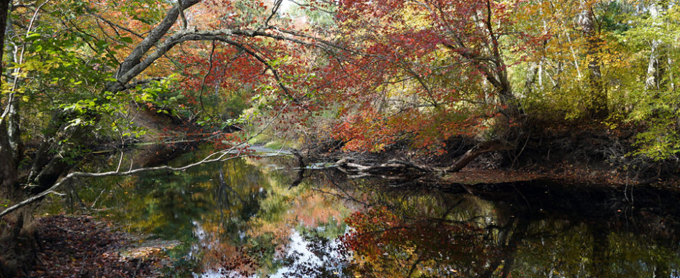 Photo of Carter Preserve-Pawcatuck River