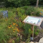 Charlestown School Outdoor Learning