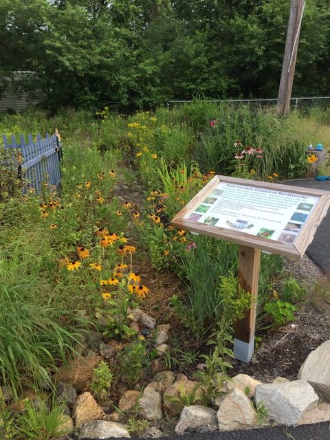 Chariho Honored for Environment Programs