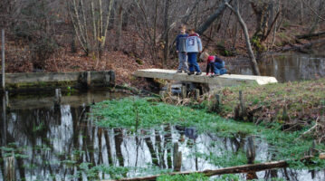 Checking watercress at Mill Pond