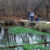 Checking watercress at Mill Pond