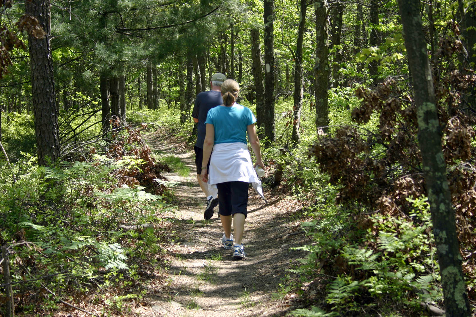 Hikers on a Charlestown, Rhode Island trail