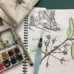 Photo showing a native flora sketch and sketching materials