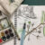 Photo showing a native flora sketch and sketching materials