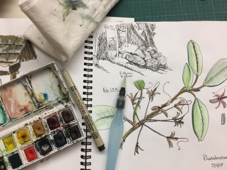 Photo showing a native flora sketch and sketching materials