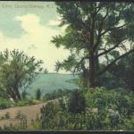 Gavitt's Cove on a 1913 postcard
