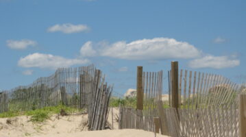 Photo of dunes at Charlestown Beach