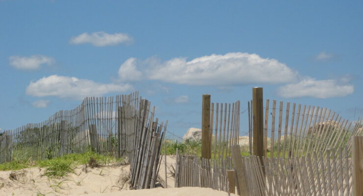 Photo of dunes at Charlestown Beach