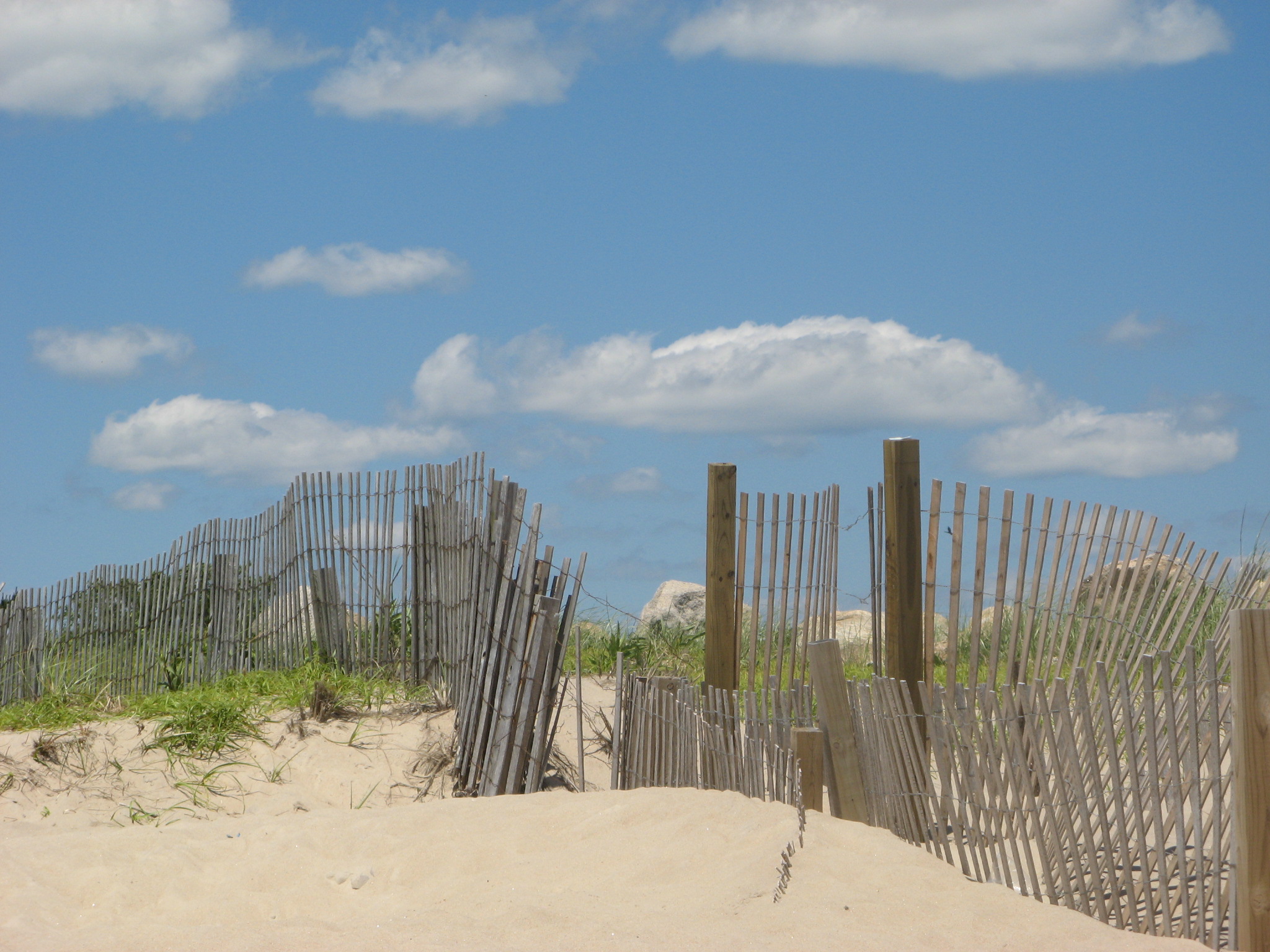 Photo of dunes at Charlestown Beach