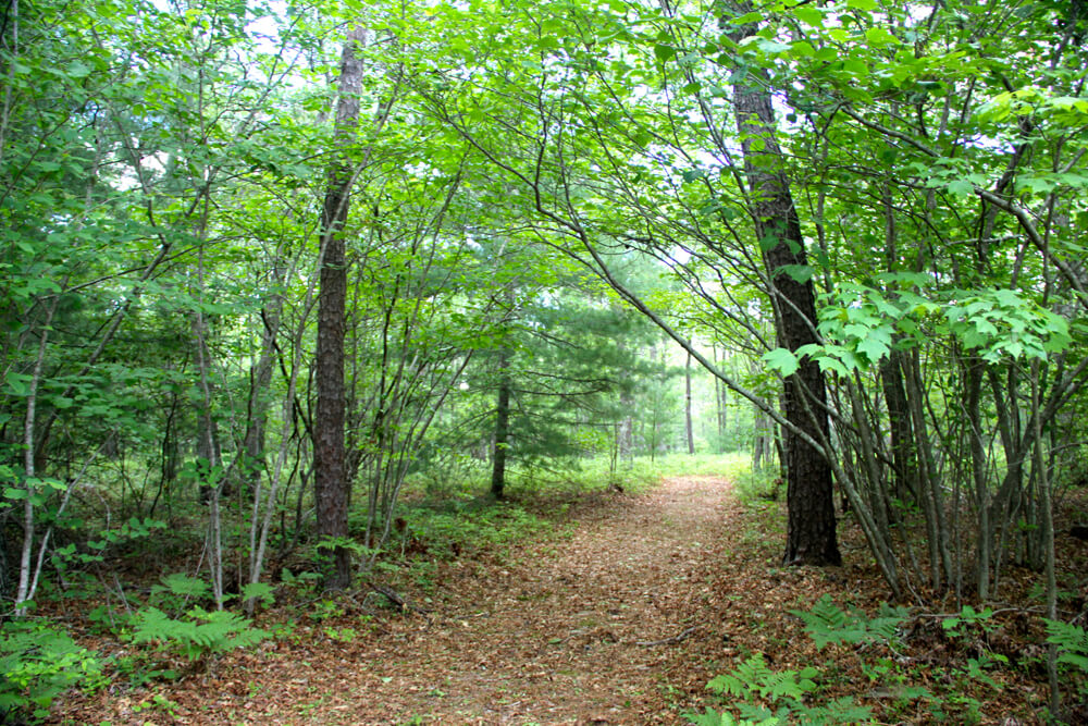 Photo of a Charlestown Hiking Trail