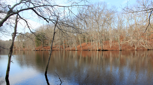 Ice House Pond In The Carter Preserve