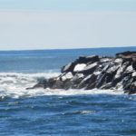 A photo of the Charlestown Breachway by J Carlson