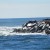 A photo of the Charlestown Breachway by J Carlson