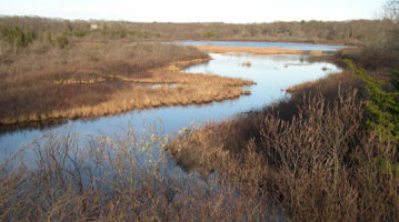 MILL POND Late Autumn