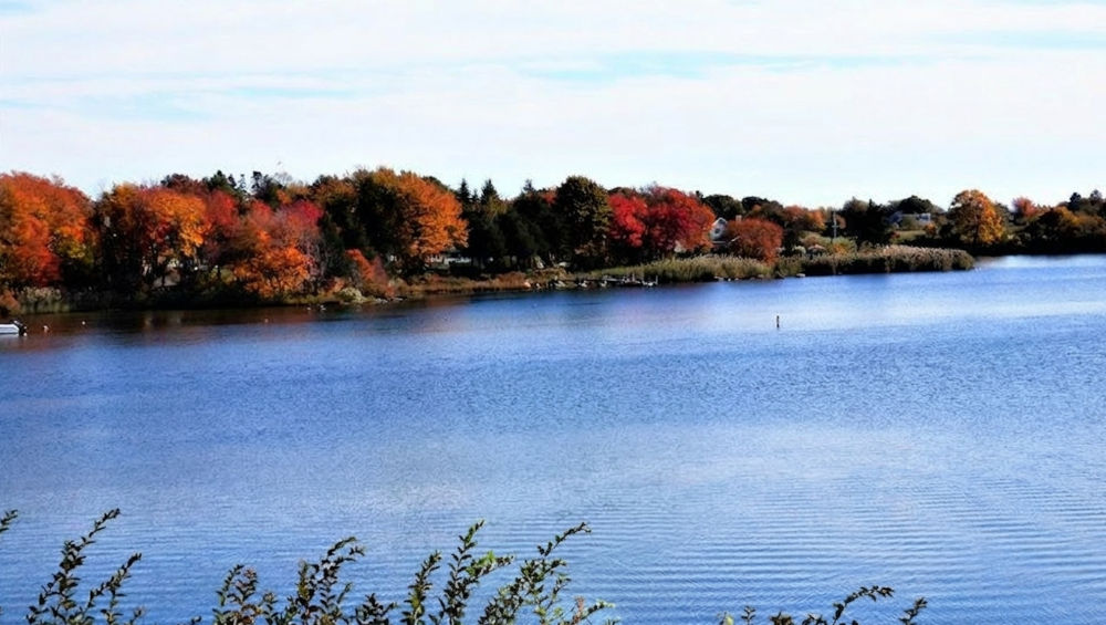 Growth Has Limits When It Comes To Preserving Clean Water