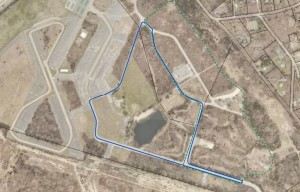 proposed pathways in blue and green