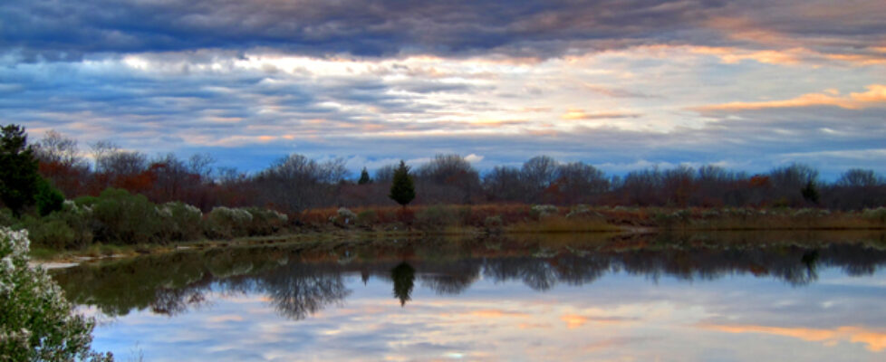 photo of Salt Pond Sunset by Scott MacNeill