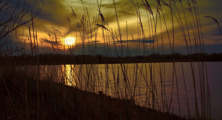 Photo of Ninigret NWR Sunset by Scott MacNeill