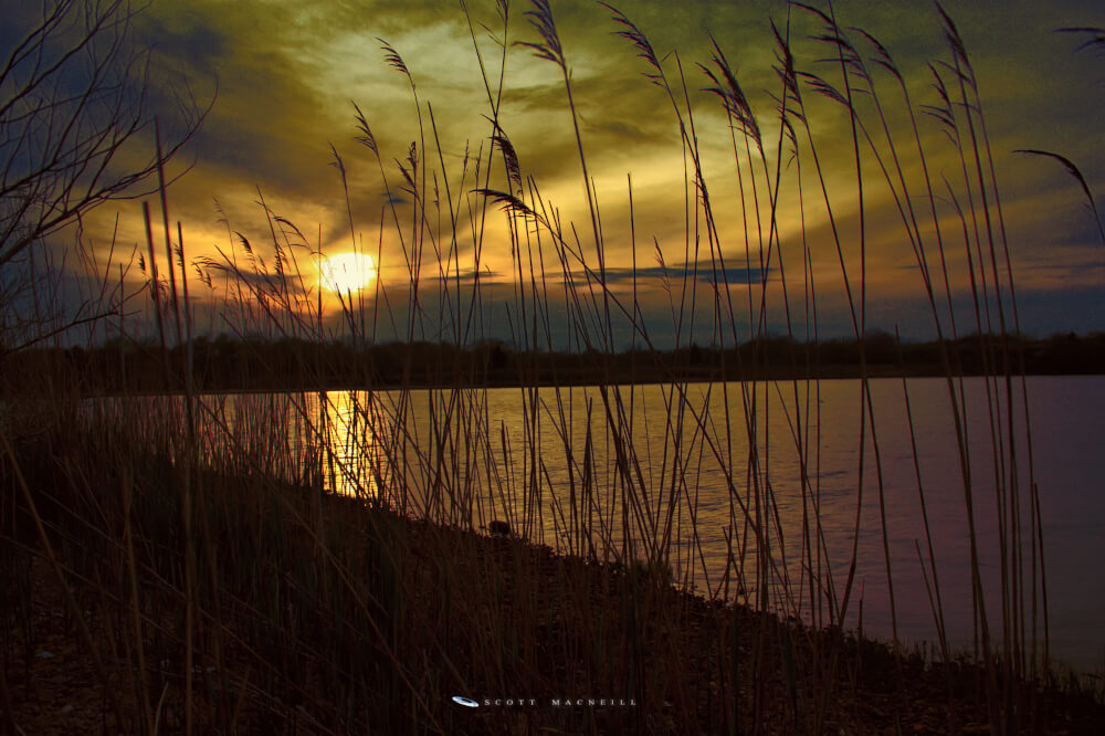 Photo of Ninigret NWR Sunset by Scott MacNeill