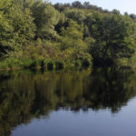 Photo of the Pawcatuck River in Carolina