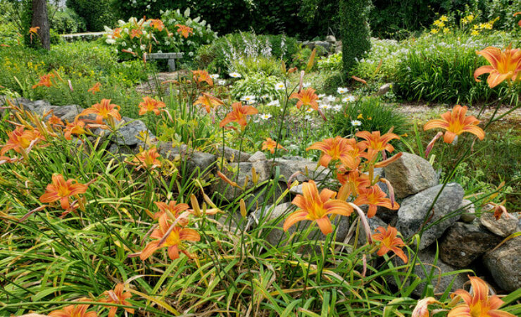 Photo of a Quonnie Cemetery