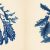 Image of pressed seaweed art