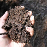 SoilTest