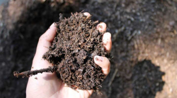 SoilTest SoilTest