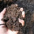 SoilTest