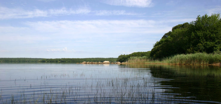 Photo of Watchaug Pond