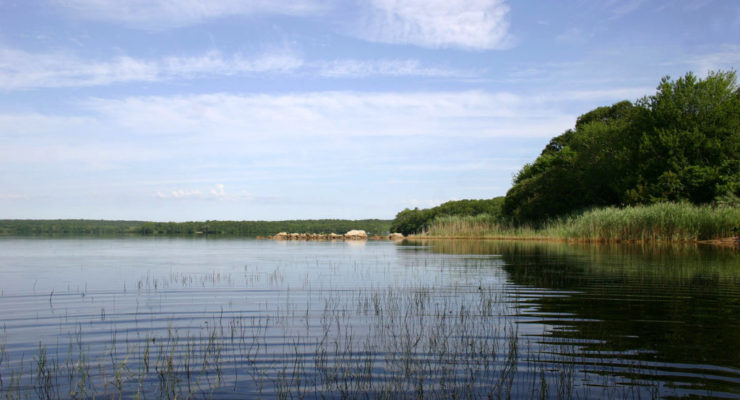 Photo of Watchaug Pond