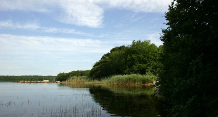 A photo of Watchaug Pond