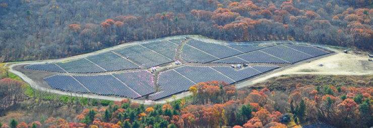 solar in a forest