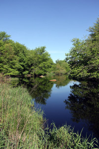 Photo of the Pawcatuck River in the Sprague Preserve