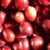 cranberry