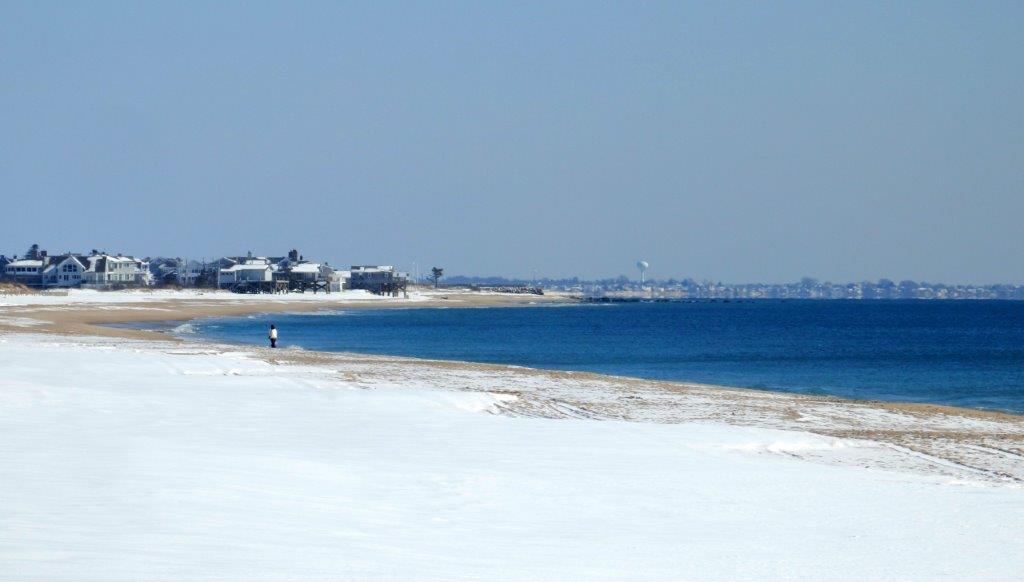 Polar Plunge On New Years Day To Support RICAN