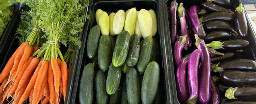 farmers market bounty