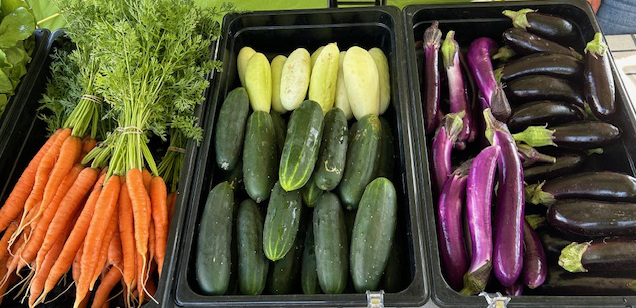 Charlestown Farmers Market Begins June 20