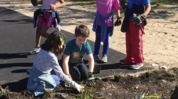 Children Planting the Rain Garden at Charlestown School